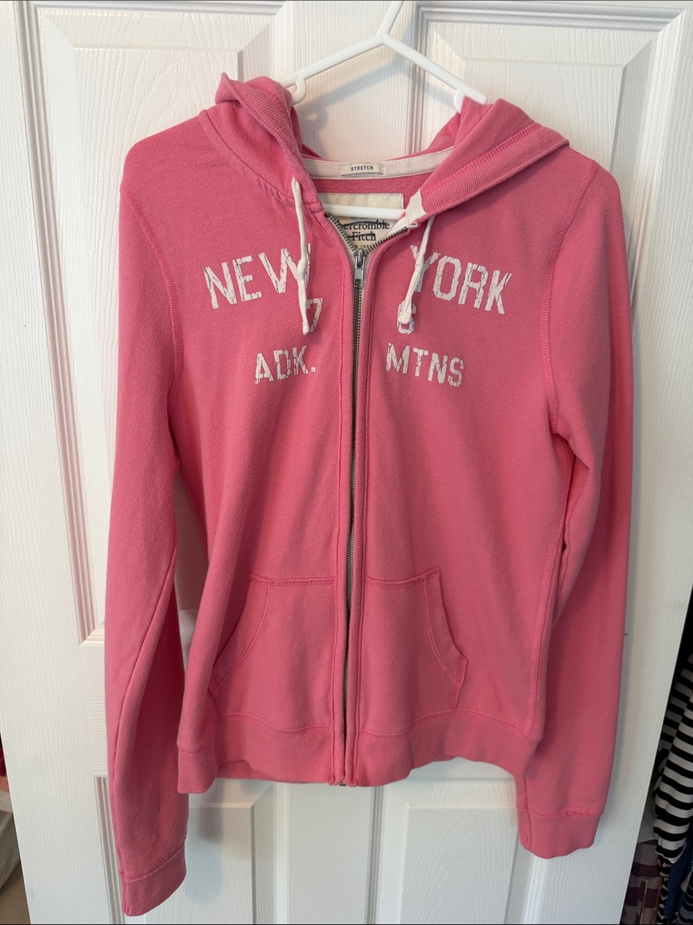 Abercrombie & Fitch Soft Pink Stretch Top with New York ADK mountains junior siz